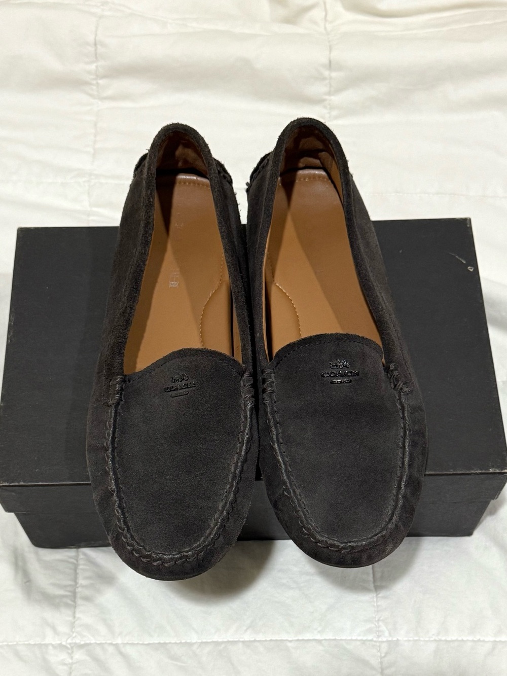 Coach Amber Suede Women's Driving Loafers